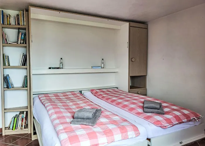 Apartament Studio Indeman By Interhome Gambarogno